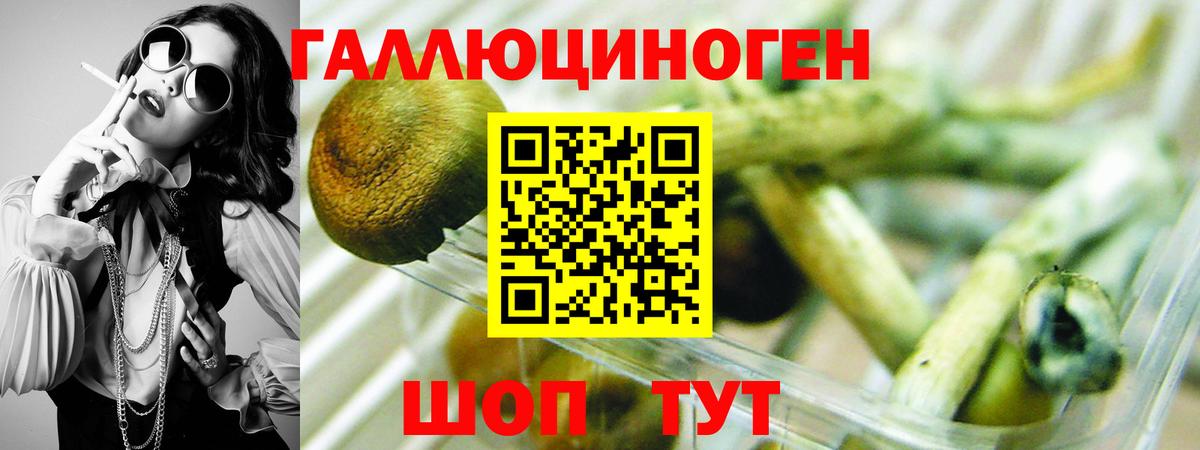 Псилоцибиновые грибы прущие грибы Дятьково