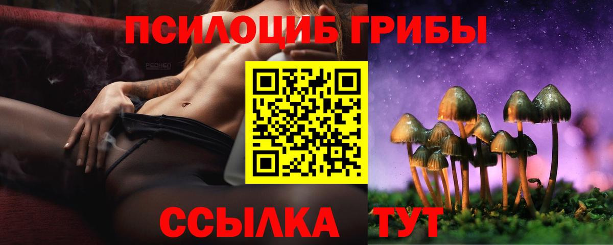 Дятьково  Псилоцибиновые грибы прущие грибы  Вход с VPN 