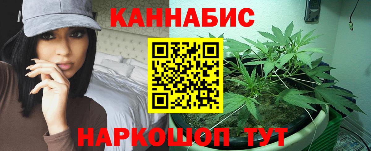 Конопля гибрид Дятьково